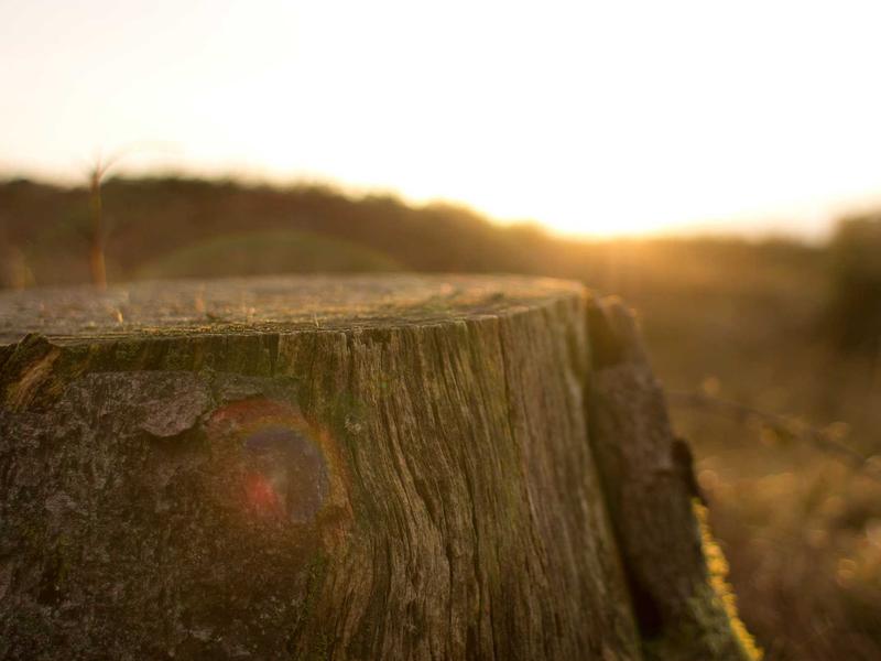 sudoku family sharing